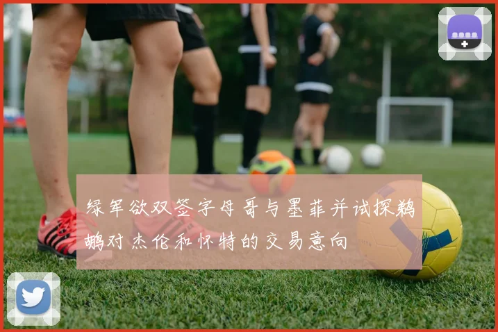 绿军欲双签字母哥与墨菲并试探鹈鹕对杰伦和怀特的交易意向